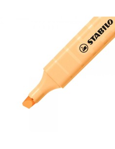 CF10 STABILO SWING PASTEL PALEORANG 2