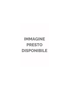 Carta colorata Copy Tinta 200 g Fabriano A4 - colori forti - 19100817 2
