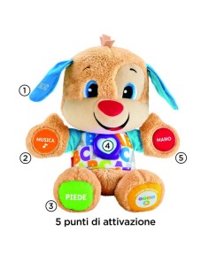 IL CAGNOLINO SMART STAGES 2