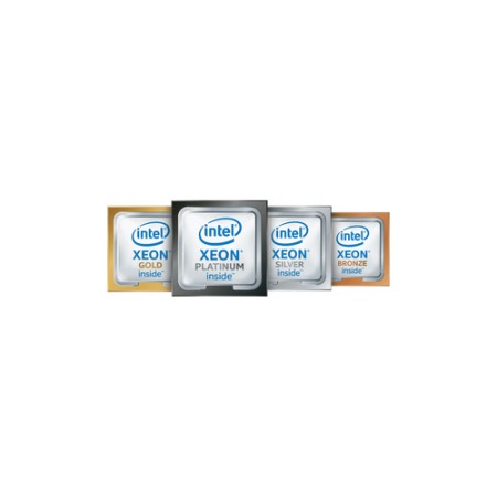 HEWLETT PACKARD ENTERPRISE INT XEON-S 4510 CPU FOR HPE