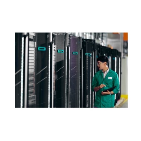 HEWLETT PACKARD ENTERPRISE HPE NS204I-U GEN11 HT PLG BOOT OPT DEV